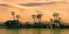 Вода в пустыне