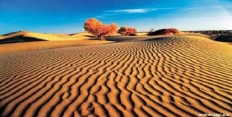Климат пустынь
